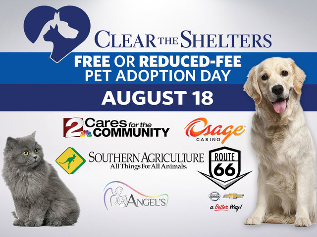 free pet adoption day